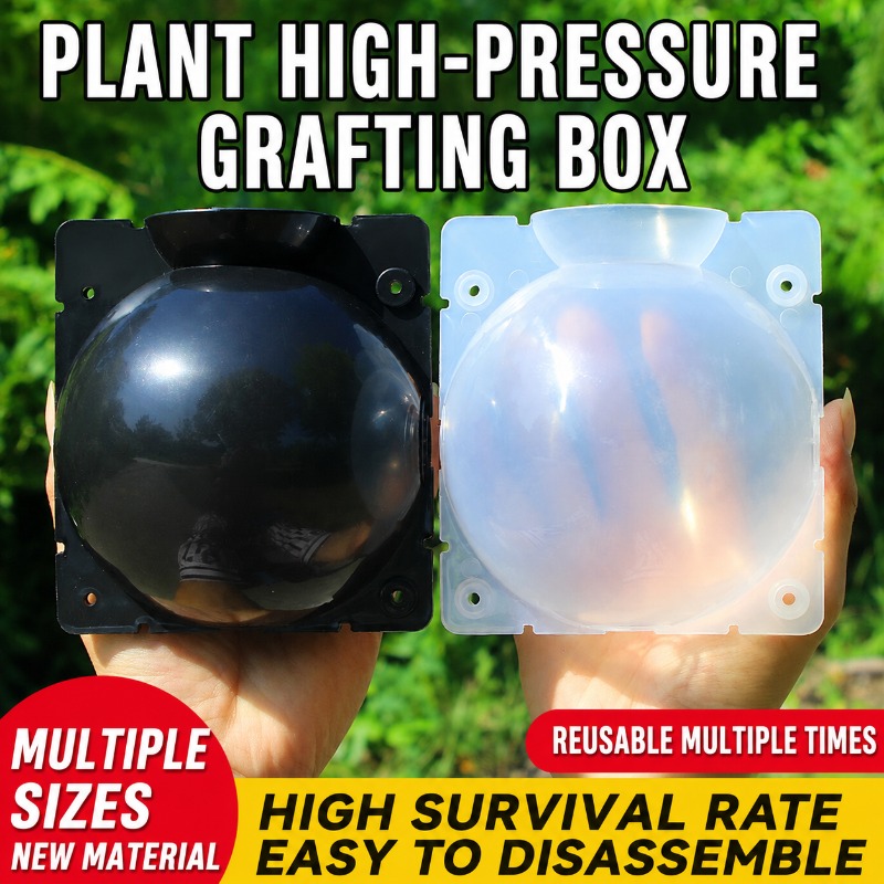 Plant Parent Kit - 10개 식물 번식 키트: 빠른 뿌리