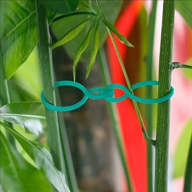 125개 정원 식물 지지대 키트, 덩굴 클립, 꼬임 결 - Plant Parent Kit 리뷰 및 가격