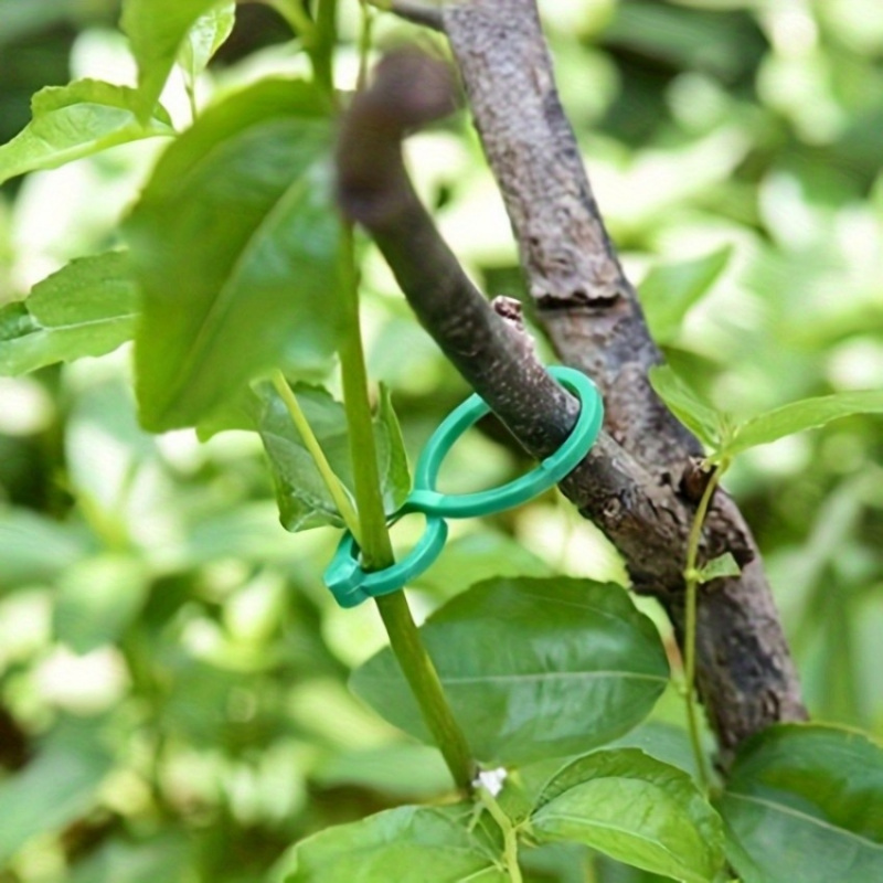 125개 정원 식물 지지대 키트, 덩굴 클립, 꼬임 결 - Plant Parent Kit 리뷰 및 가격