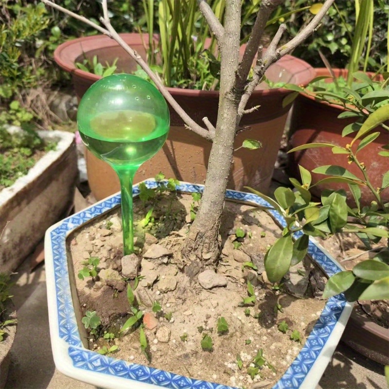 6개 실내 식물 자동 급수 볼 자동화 식물 꽃 물 공병 - Plant Parent Kit 리뷰 및 가격