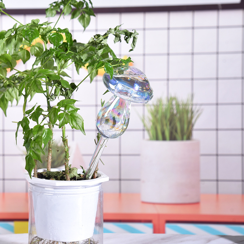 1/2PCS 유리 짚 자동 식물 급수 전구 자체 급수  - Plant Parent Kit 리뷰 및 가격