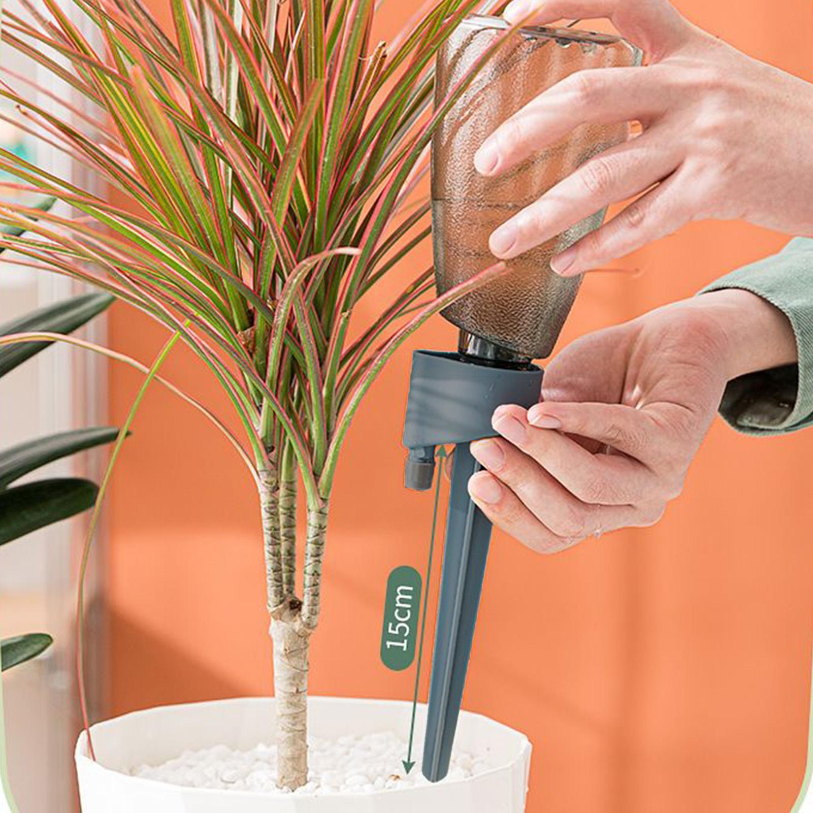 6개 자동 급수기 가정용 꽃 식물 자동 급수 장치 실내 - Plant Parent Kit 리뷰 및 가격