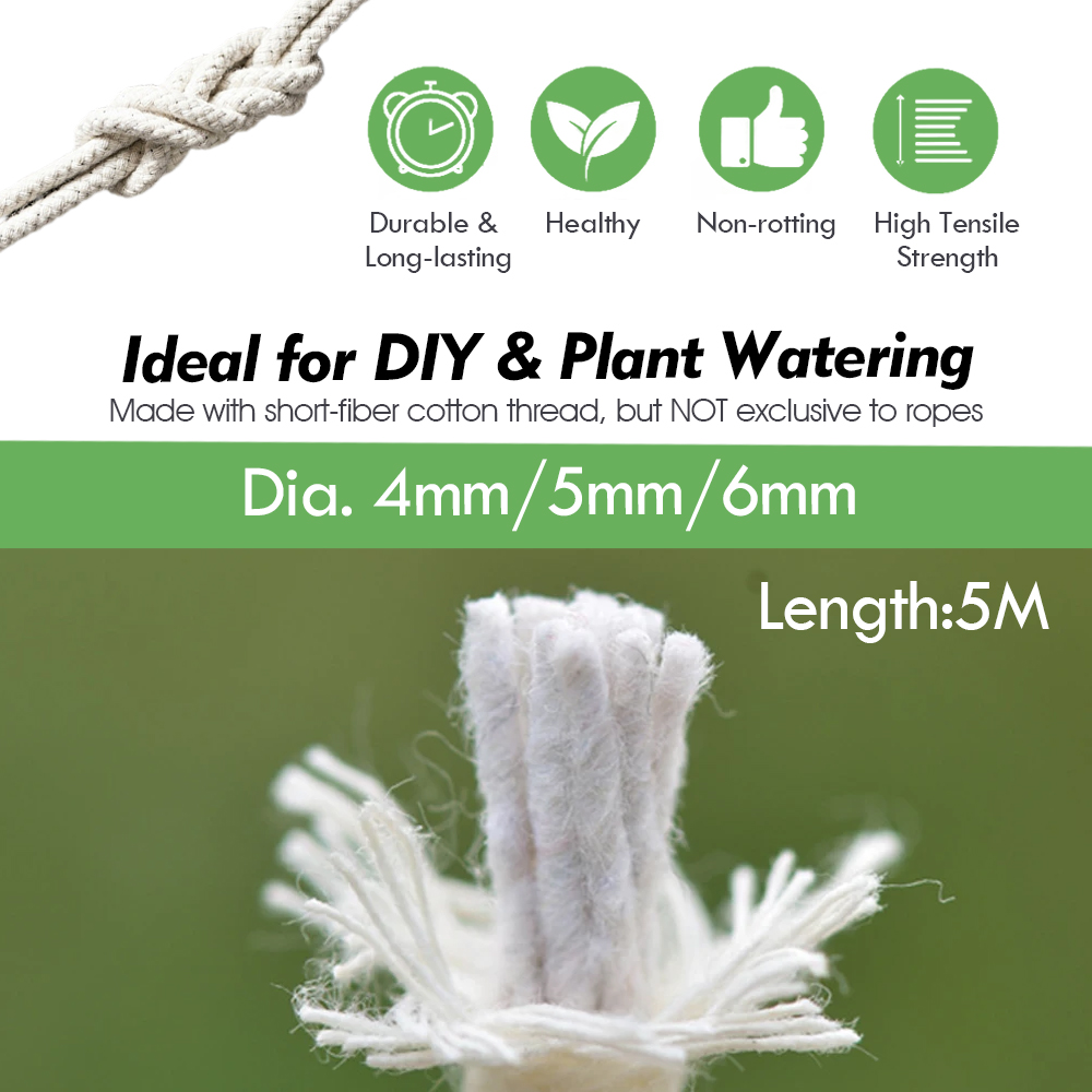 자체 급수 면 심지 코드 화분 식물 묘목 화분, DIY - Plant Parent Kit 리뷰 및 가격